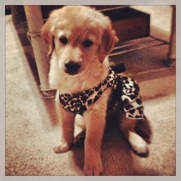 Meet your Posher, Christian - Picture 4 of 4